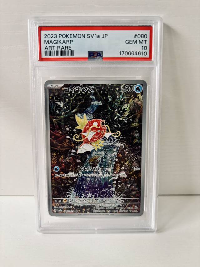 PSA10, past handling photo 6